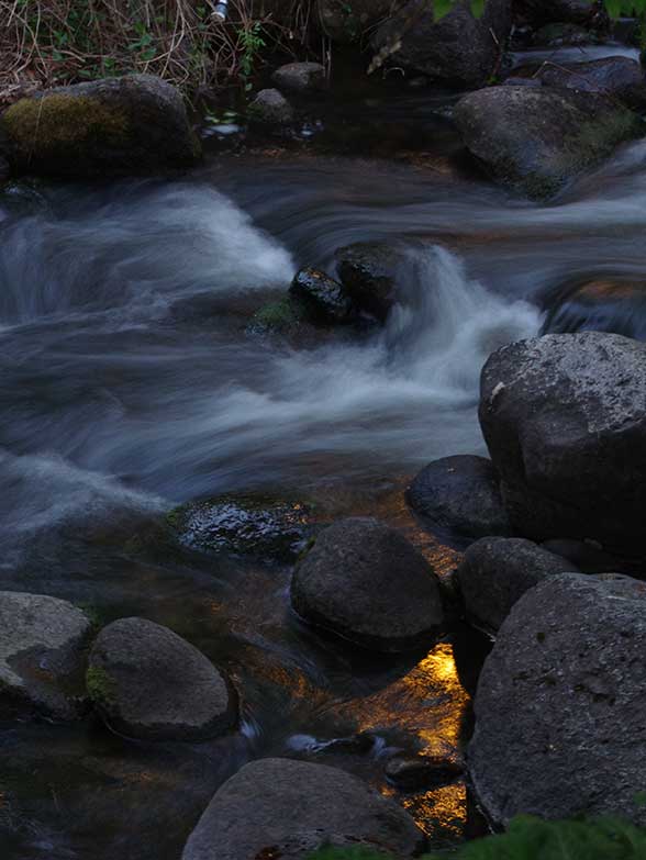 Detail of Ashland river photo