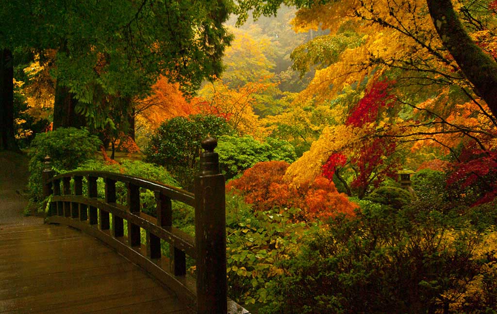 Japanese Garden